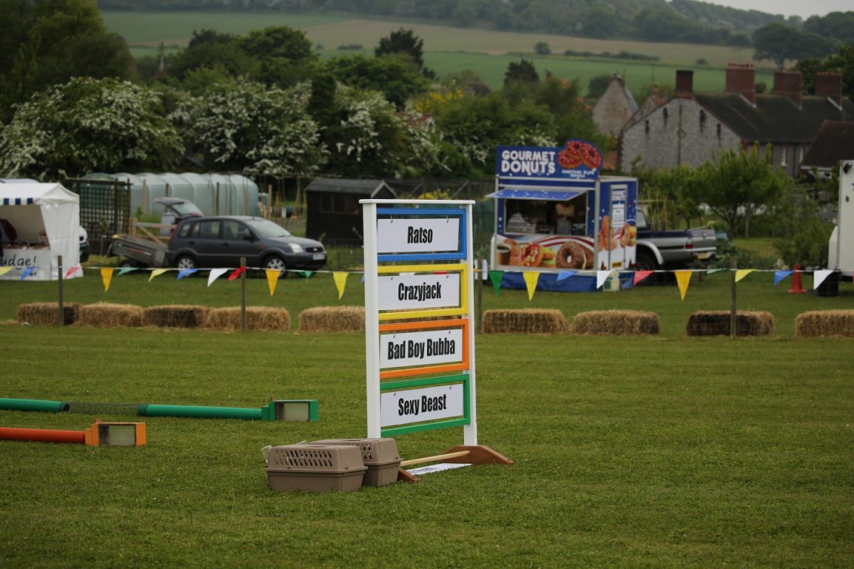 Ferret Racing Country Show
