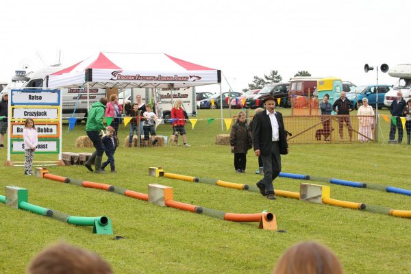Ferret Racing at Country Show