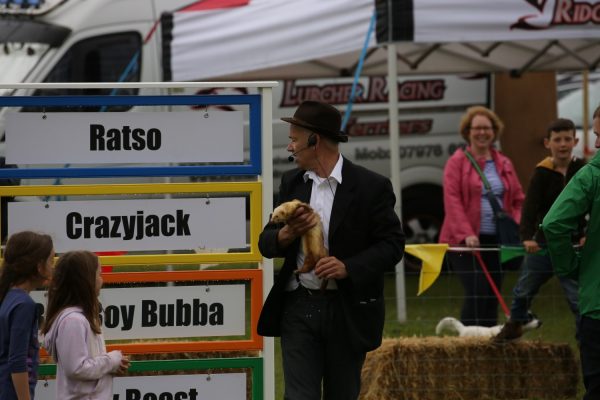 Ferret Racing in Norfolk