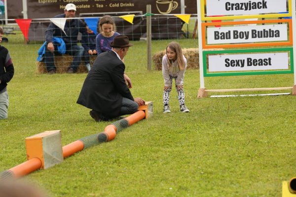 Ferret Racing at North Norfolk Country Fair