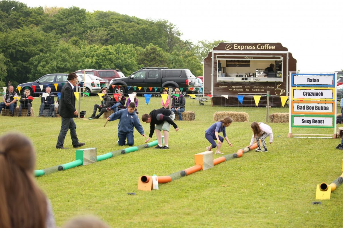 Country Show Ferret Racing