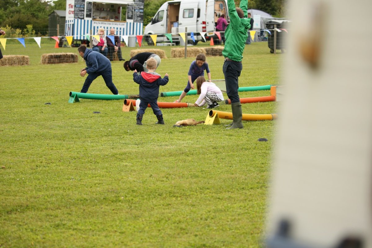 Ferret Racing North Norfolk Country Show