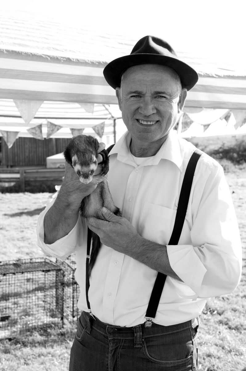 Ferret Racing, Wedding Entertainment